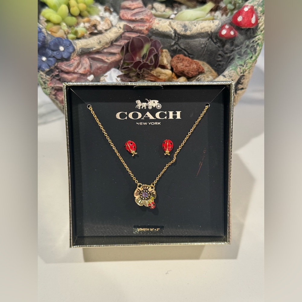Coach Ladybug Jewelry Set HTF 💎 📦
